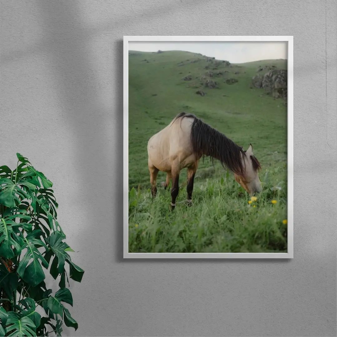 GRAZE - Image 5