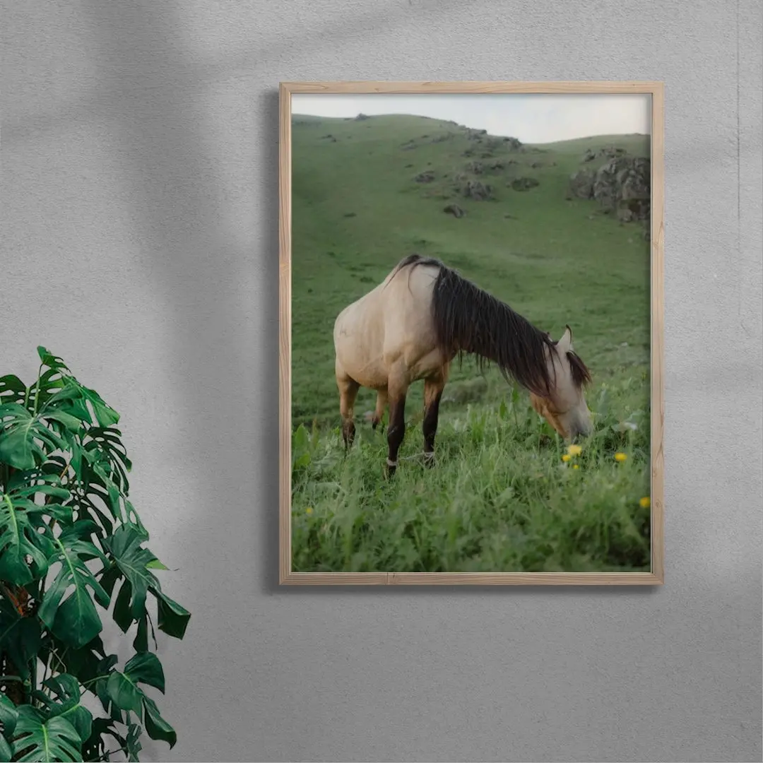 GRAZE - Image 6