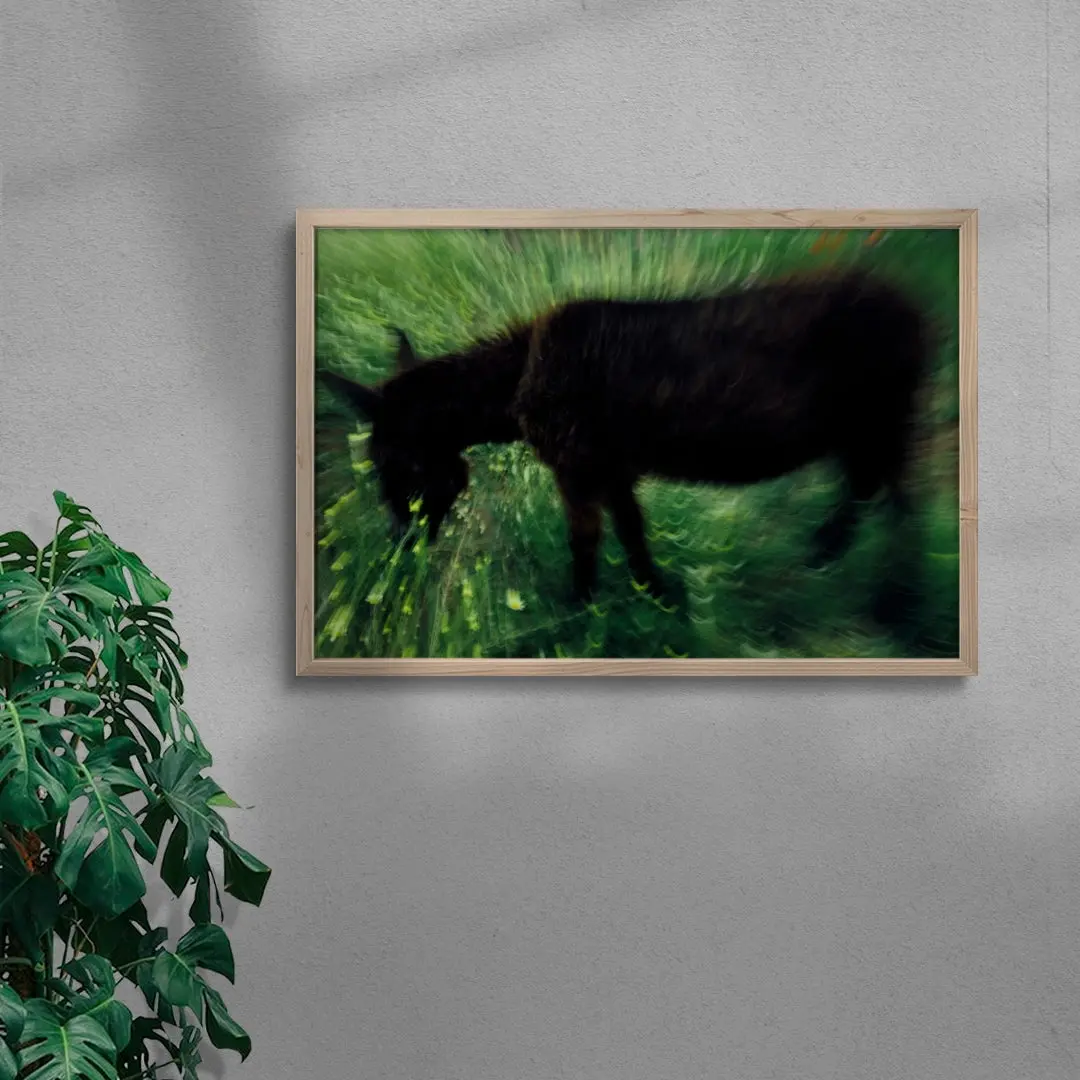 Grazing Donkey - Image 6