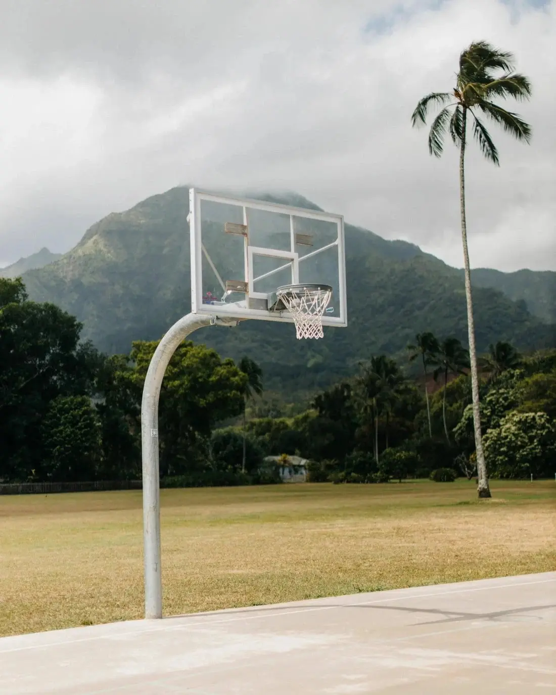 Hawaii Hoops - Image 2