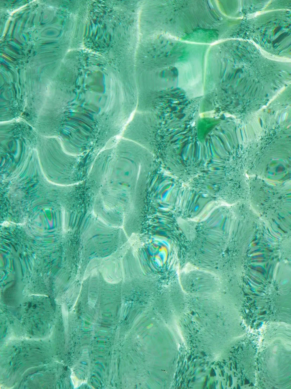 haze in the water - Image 2