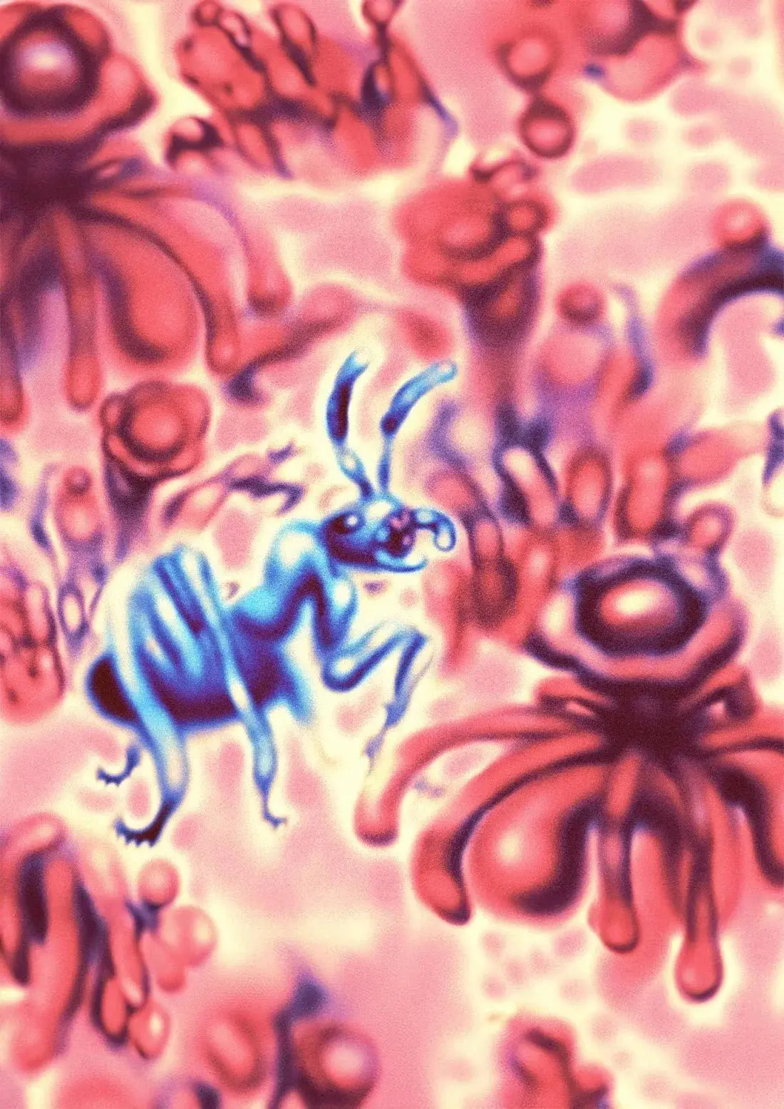 Hormiga - Image 2