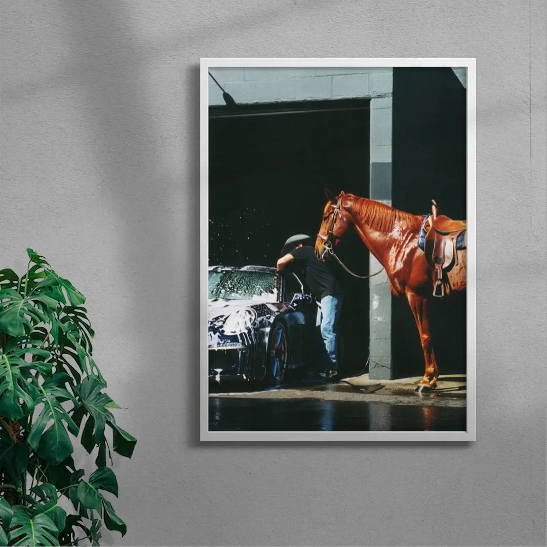 HORSEWASHING - Image 5
