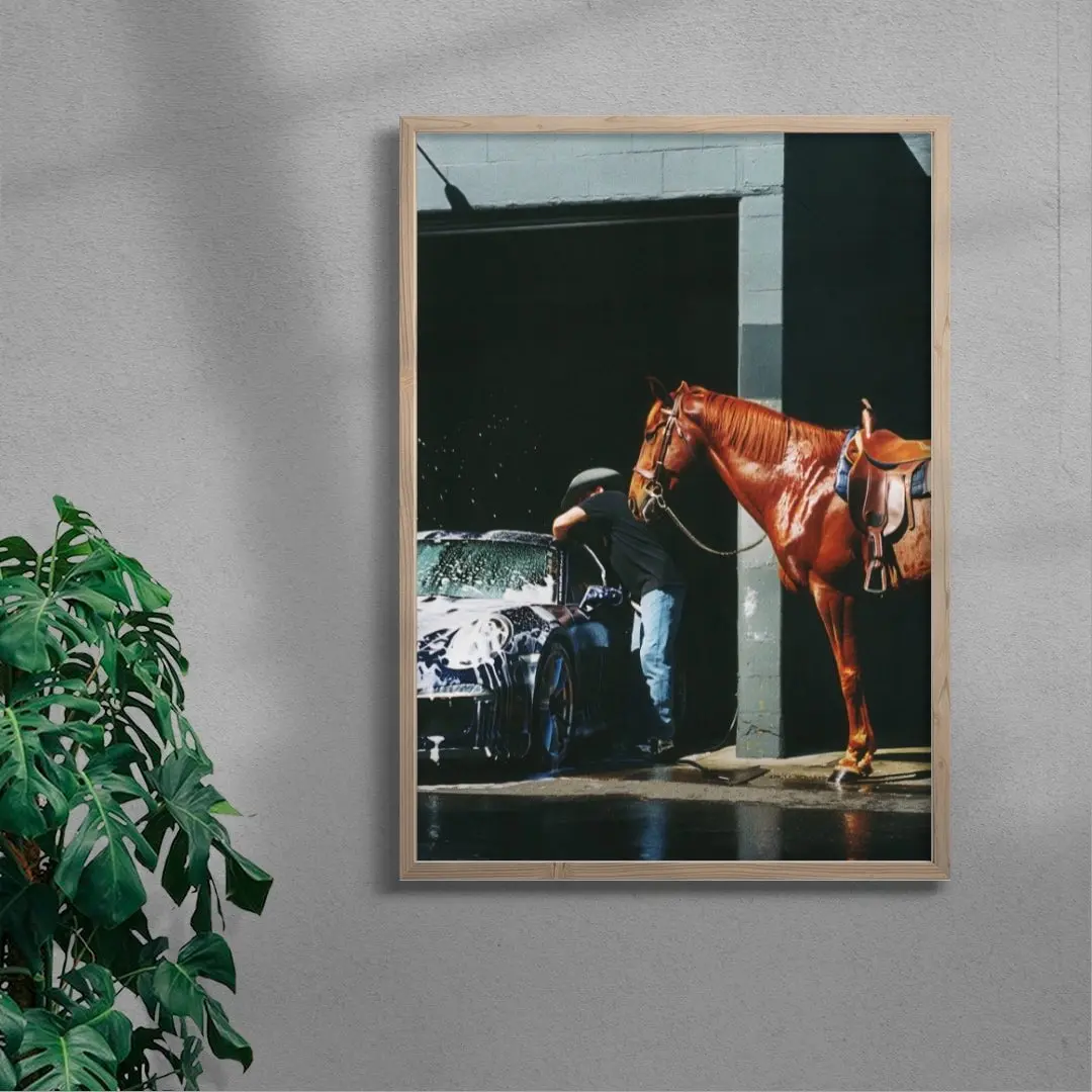 HORSEWASHING - Image 6