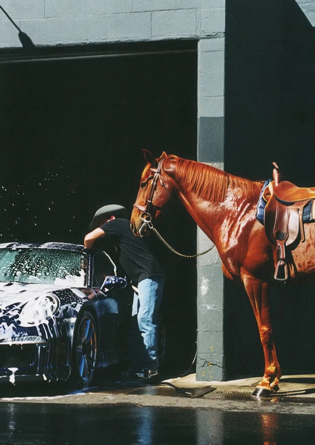 HORSEWASHING - Image 2