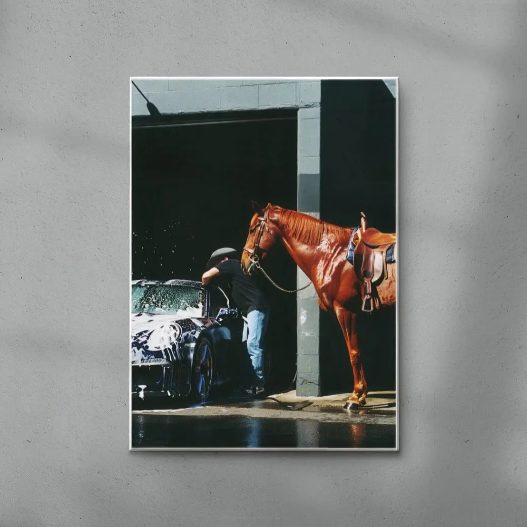 HORSEWASHING - Image 3