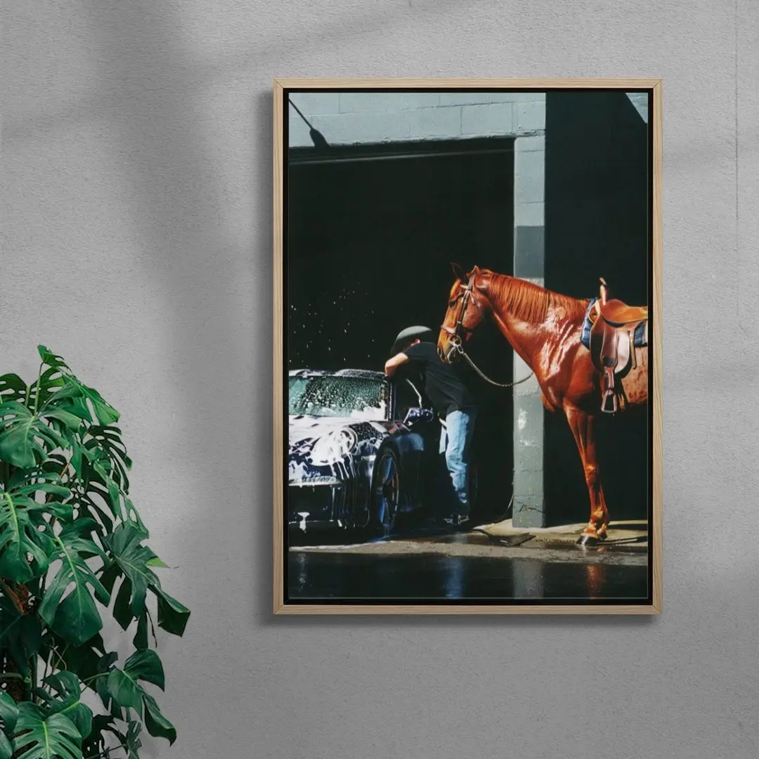 HORSEWASHING - Image 6