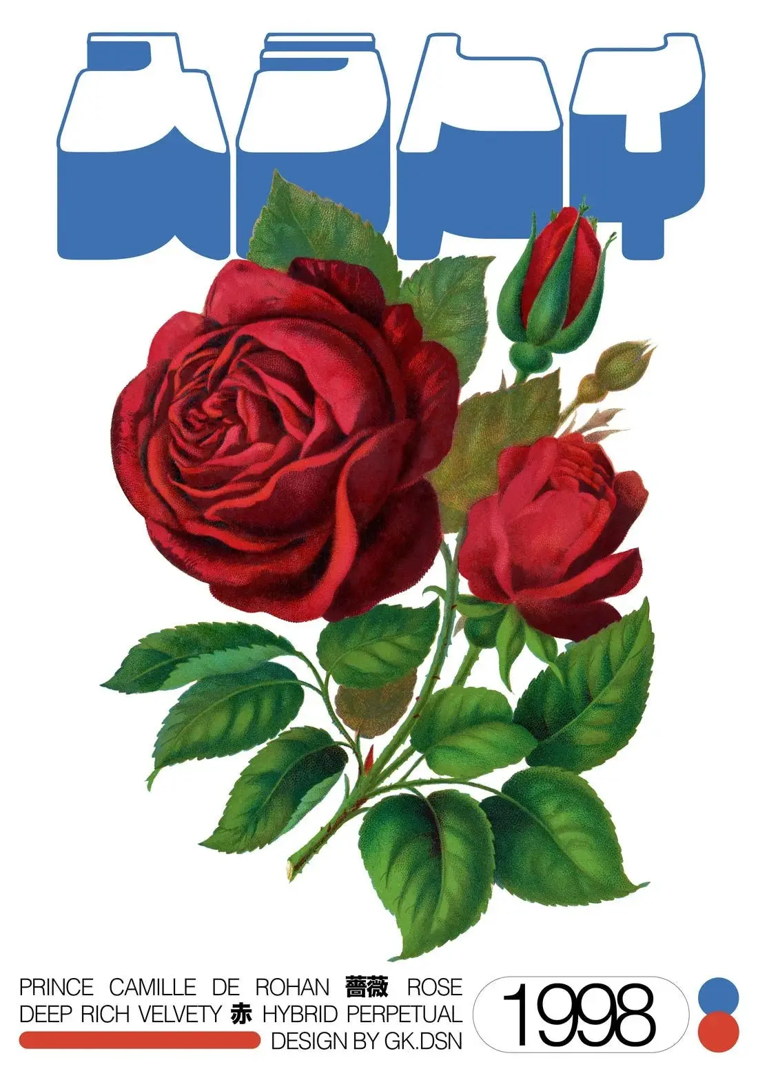 Hybrid Rose - Image 2