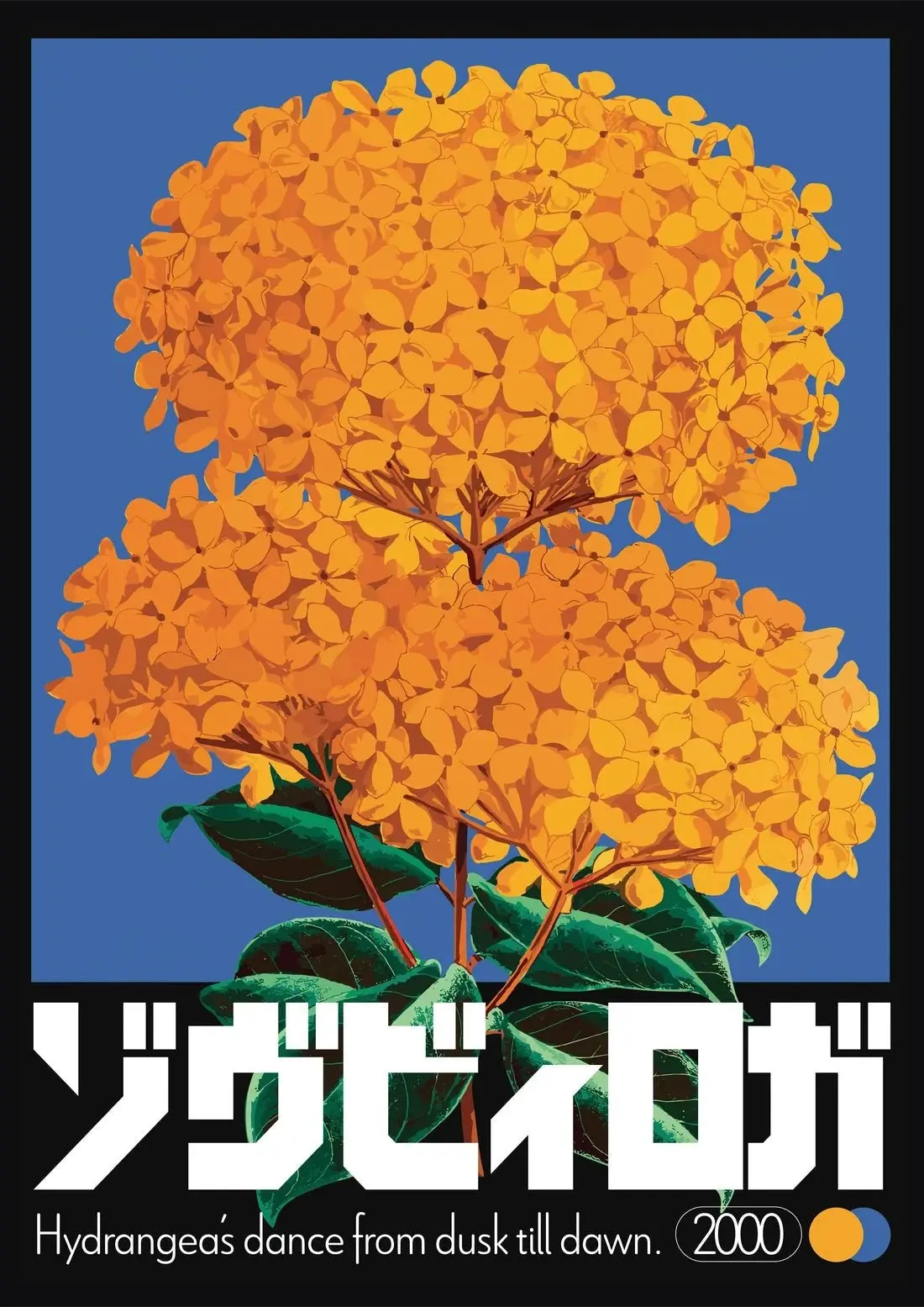 Hydrangea - Image 2