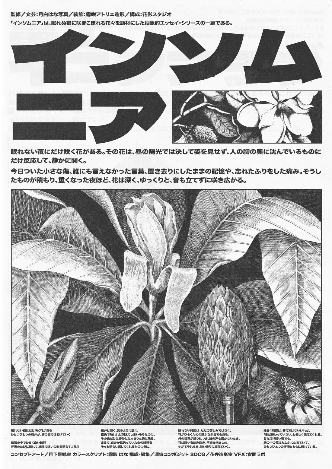 Insomnia: Memory of Flowers - Image 2