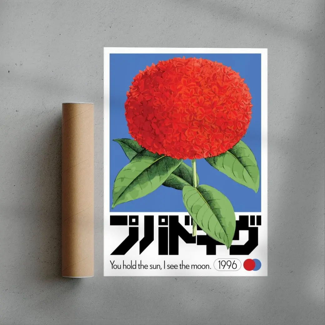 Ixora - Image 2