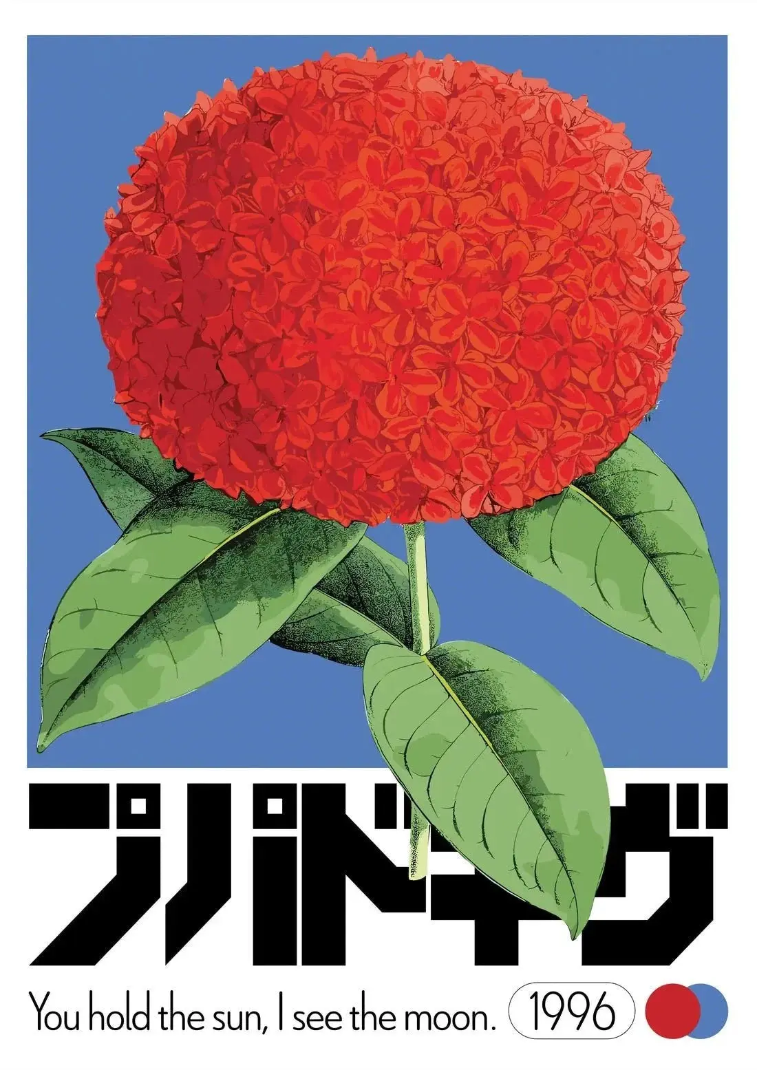 Ixora - Image 2