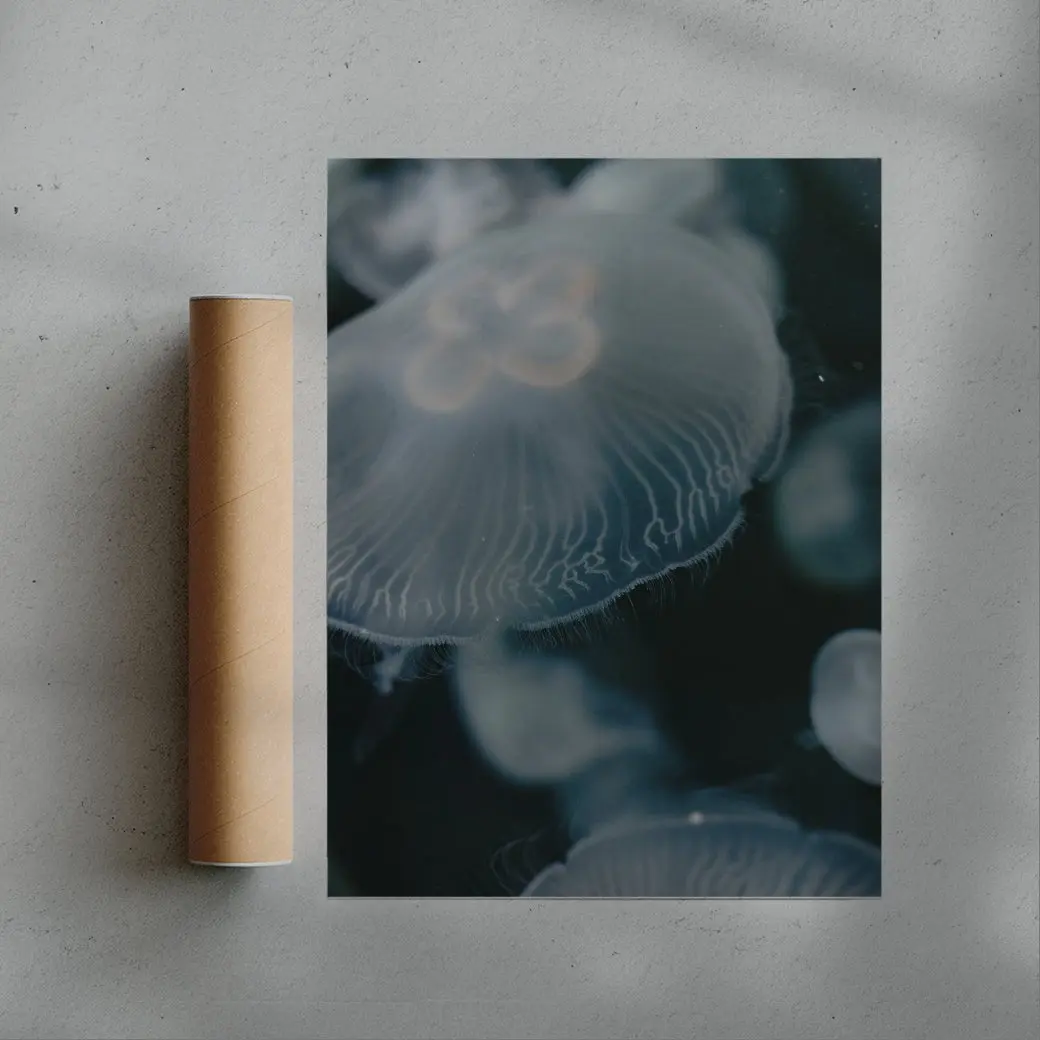 Jellyfish - Image 3