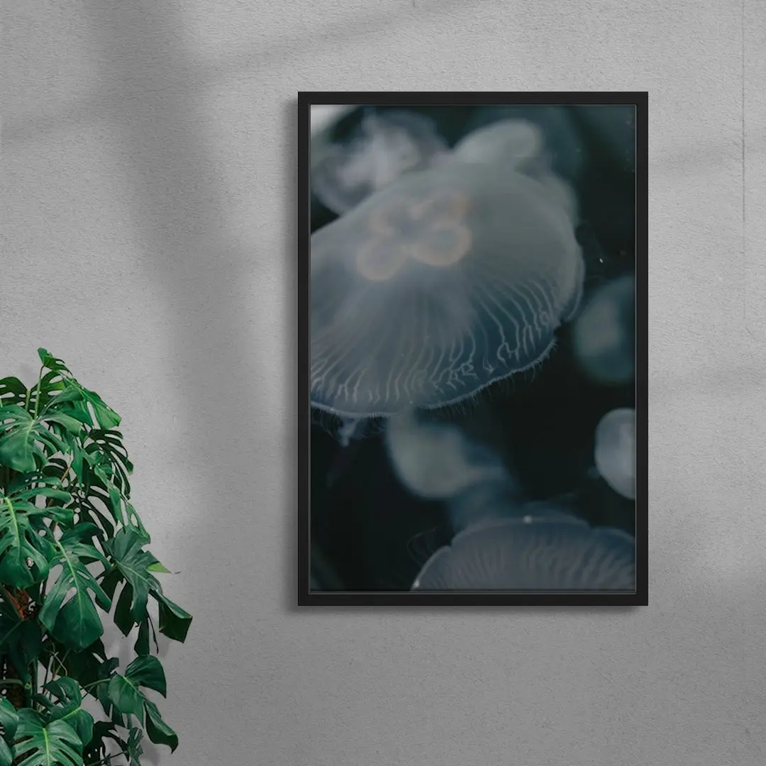 Jellyfish - Image 4