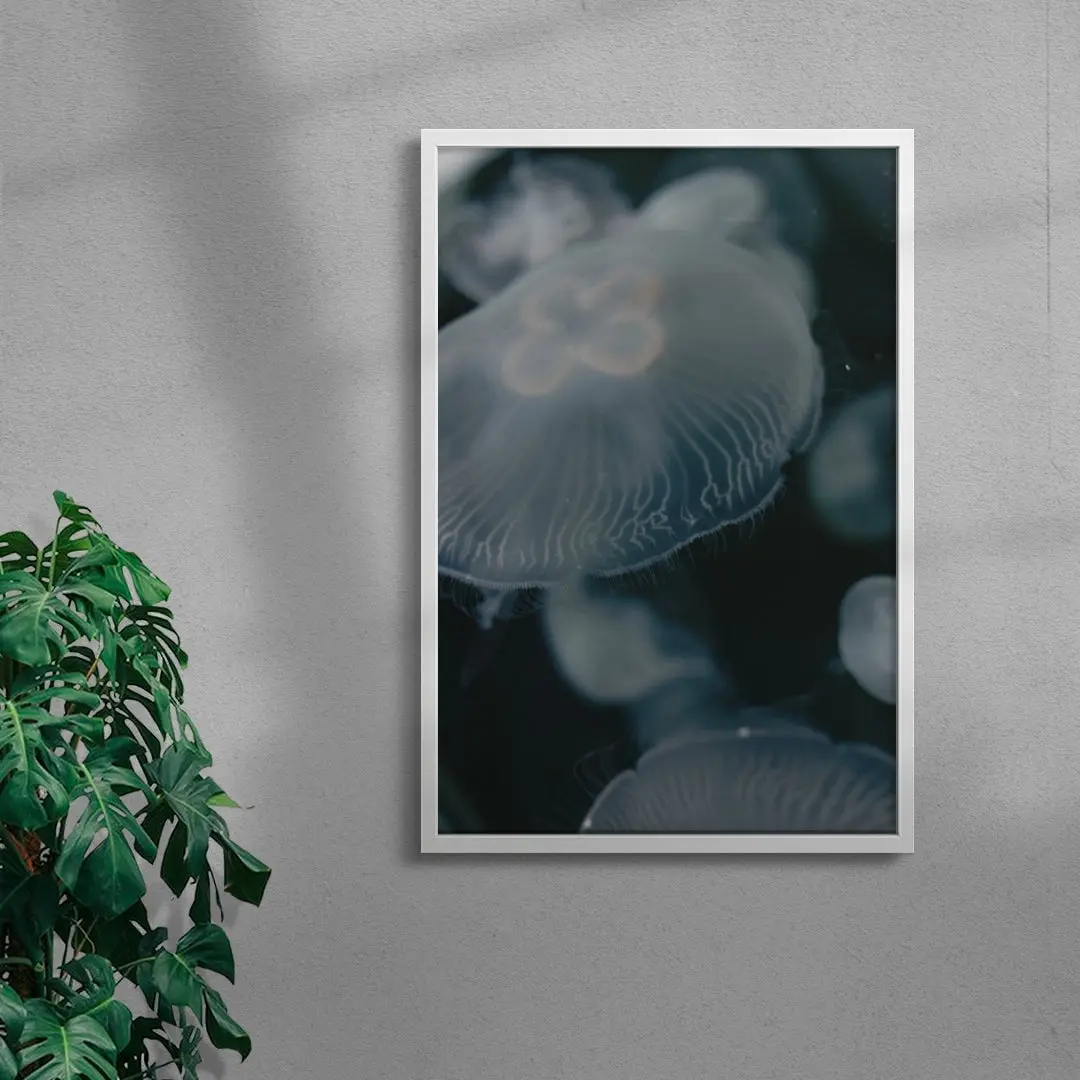 Jellyfish - Image 5