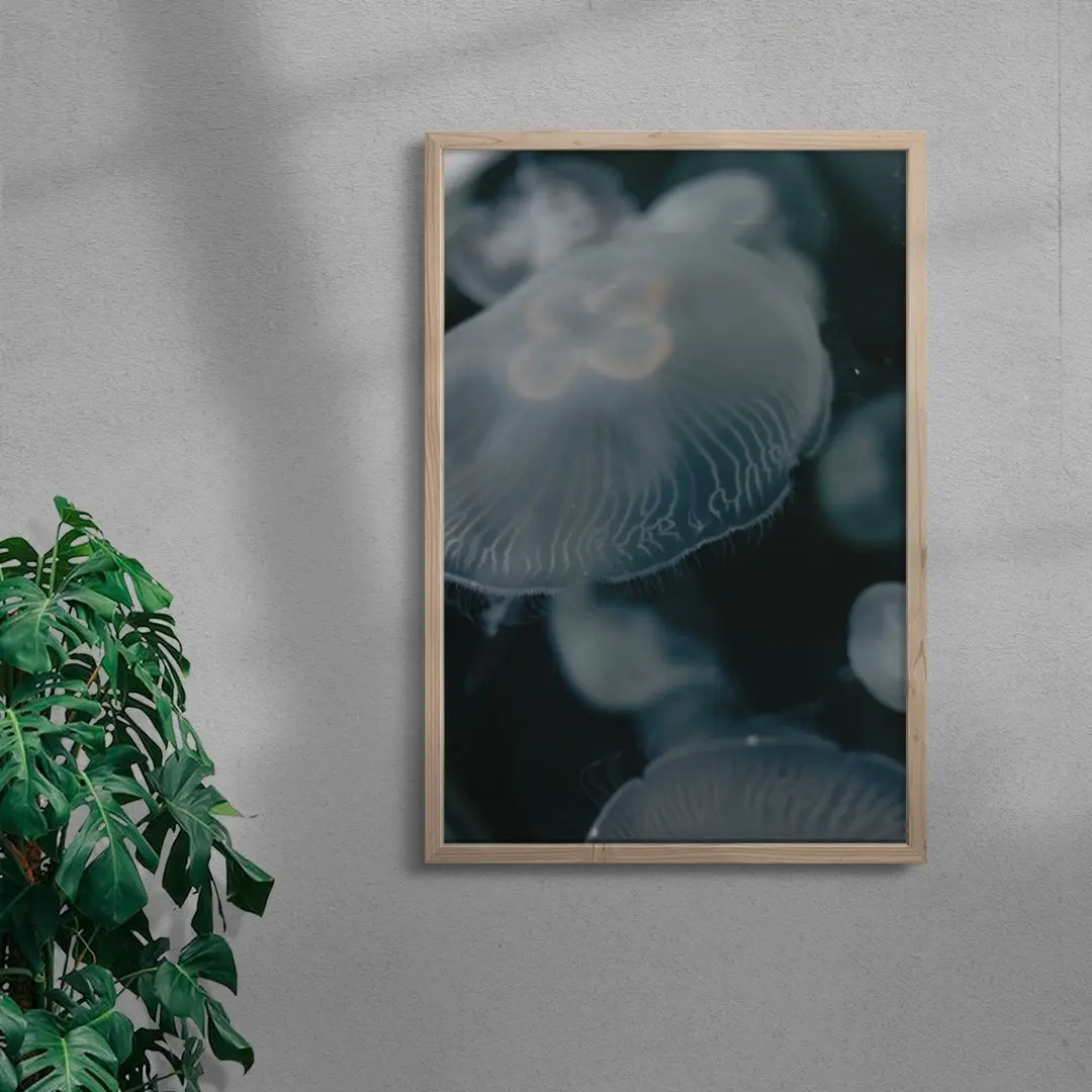 Jellyfish - Image 6