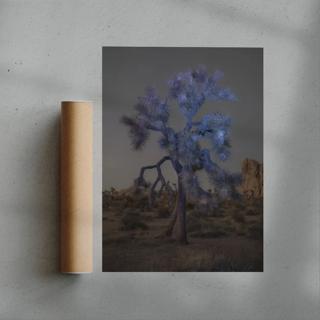 Joshua Tree - Image 3