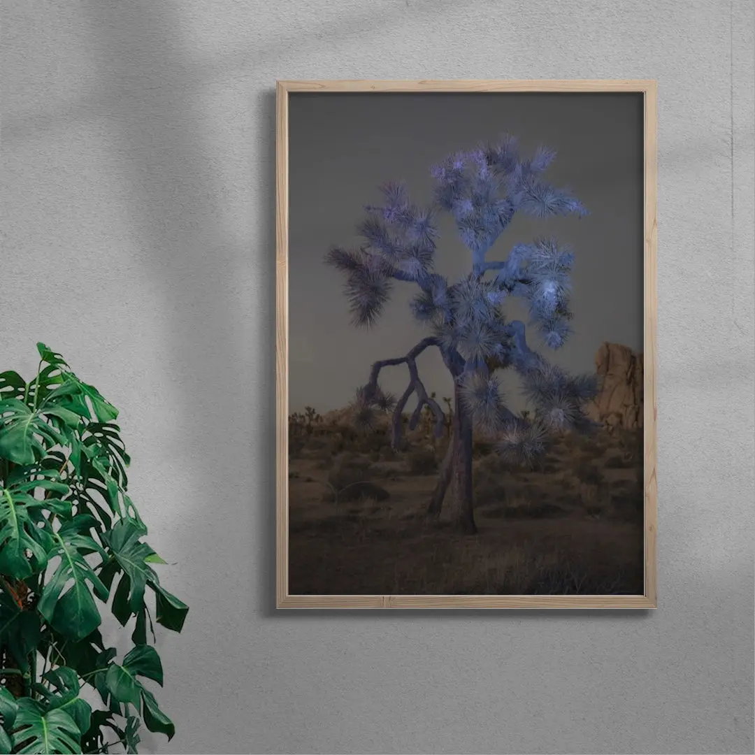 Joshua Tree - Image 6