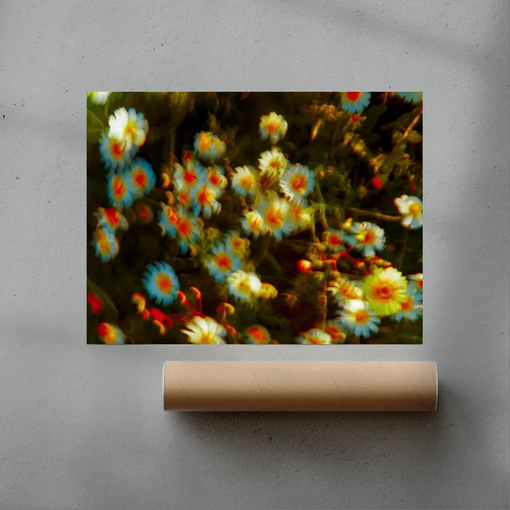 July - Image 3