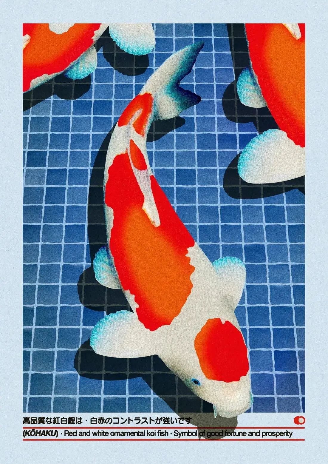 Kohaku - Image 2