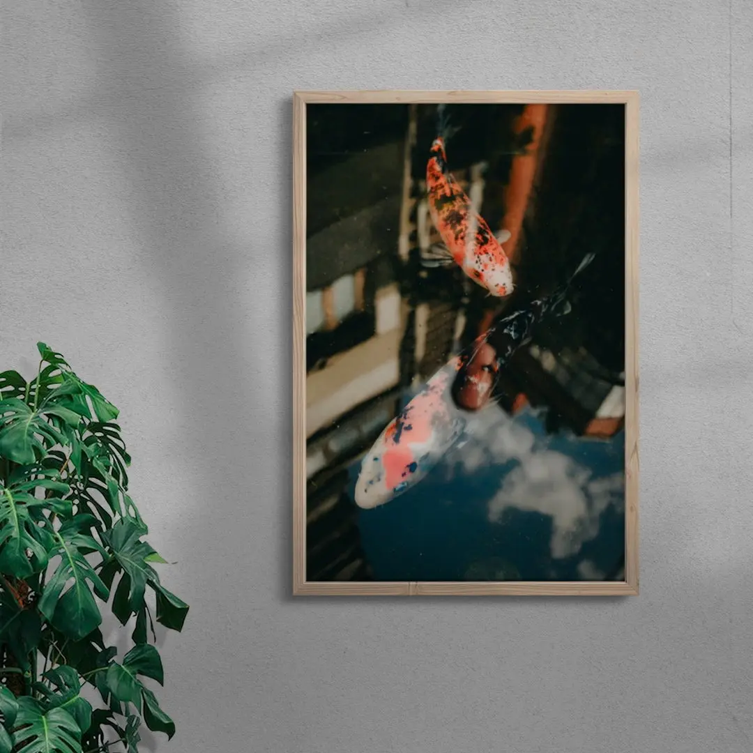 Koi Reflections - Image 6