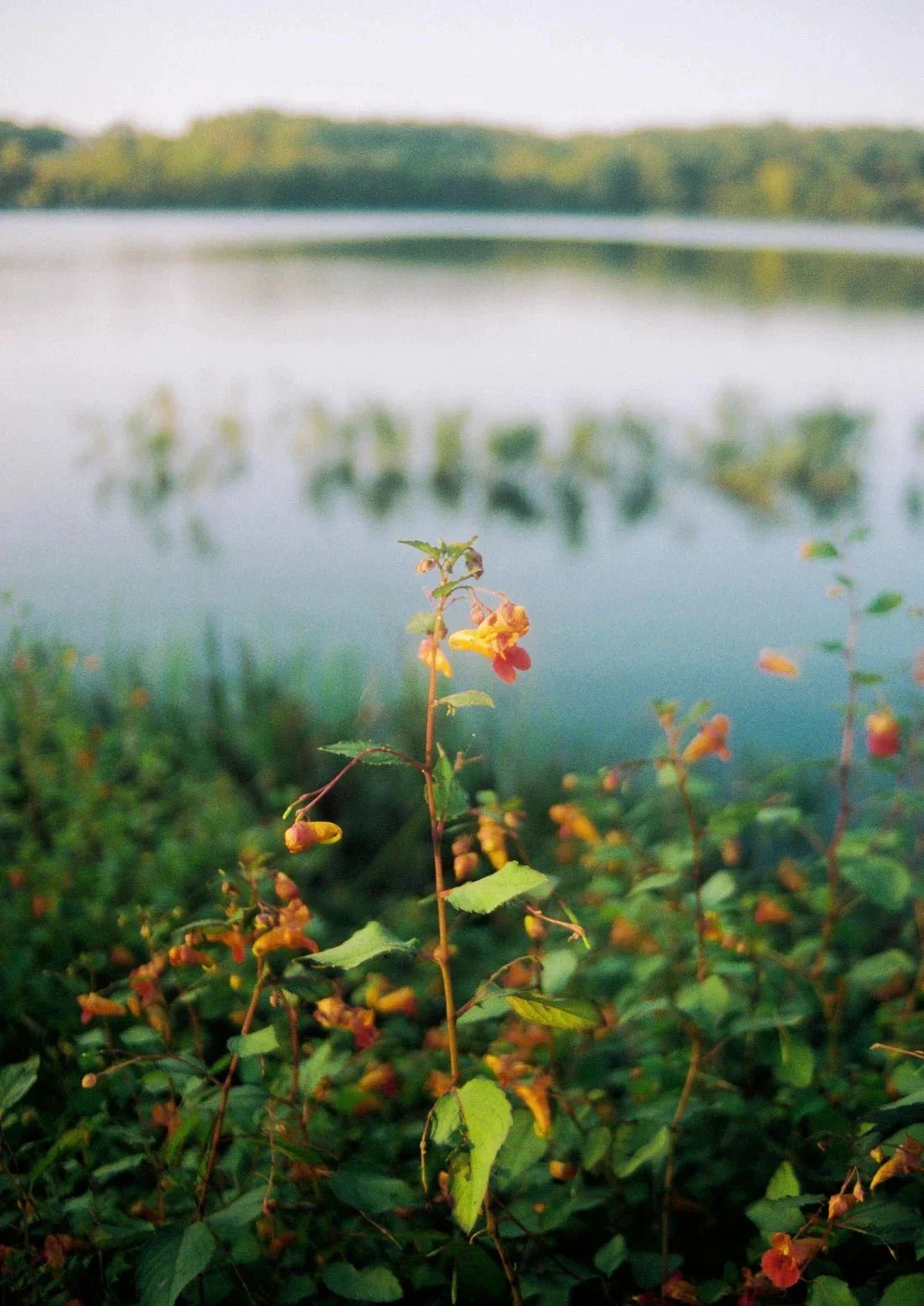 Lake Siloam - Image 2