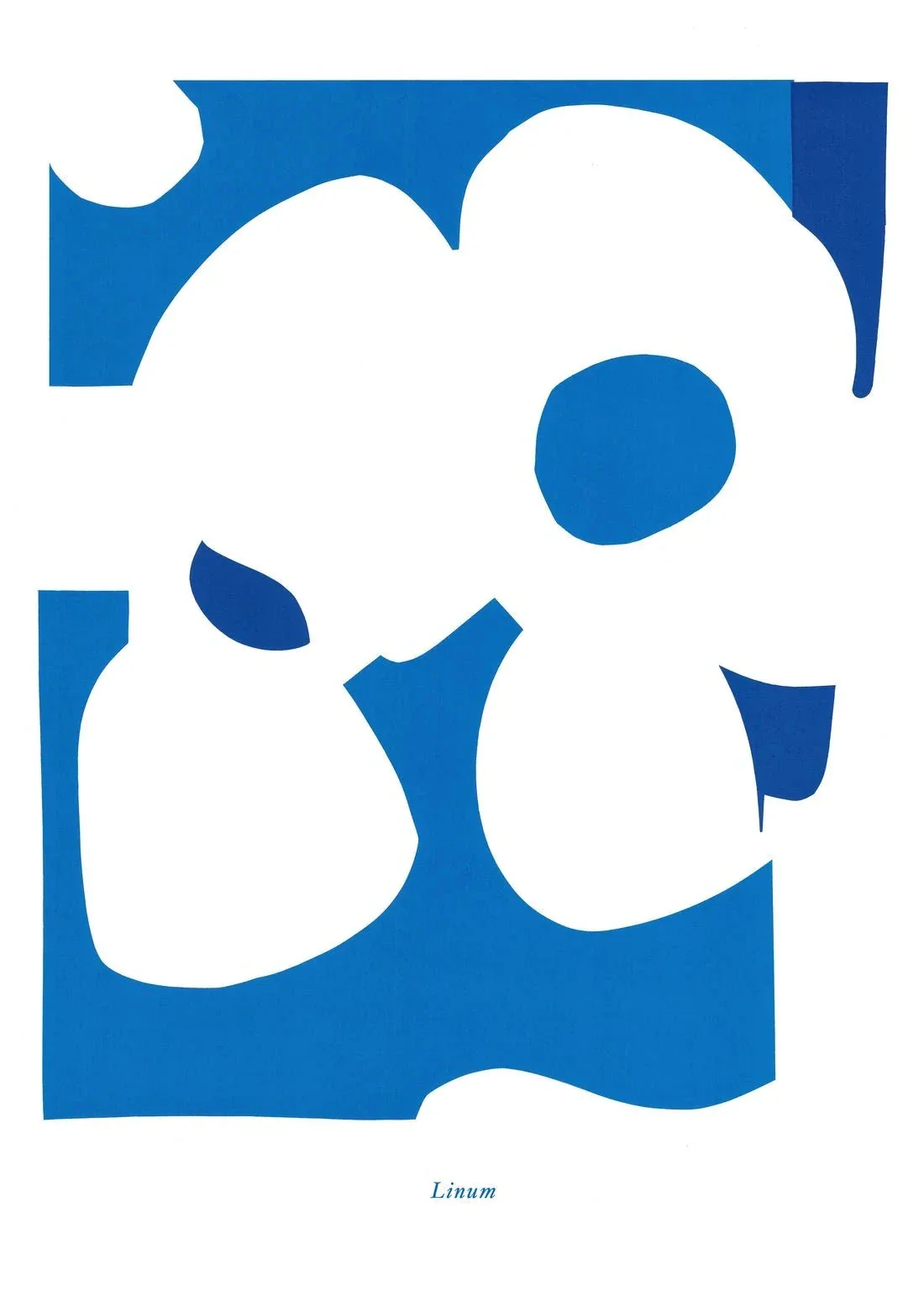 Linum - Image 2