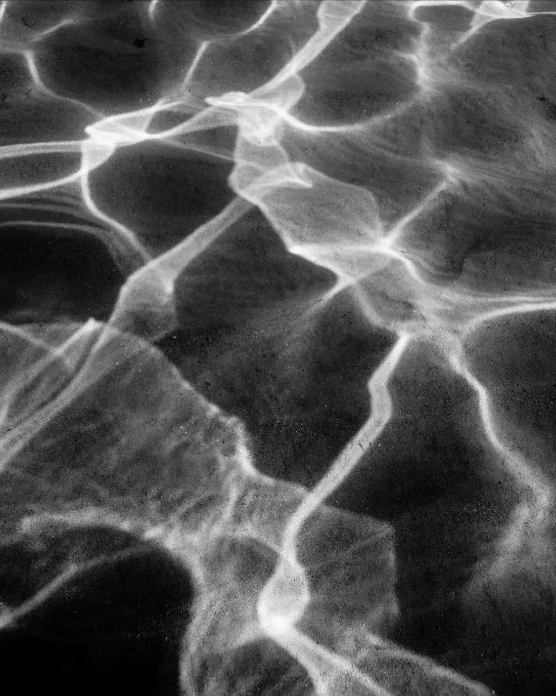 LIQUID - Image 2