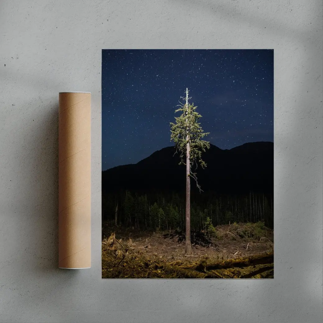 Lone Tree - Image 3