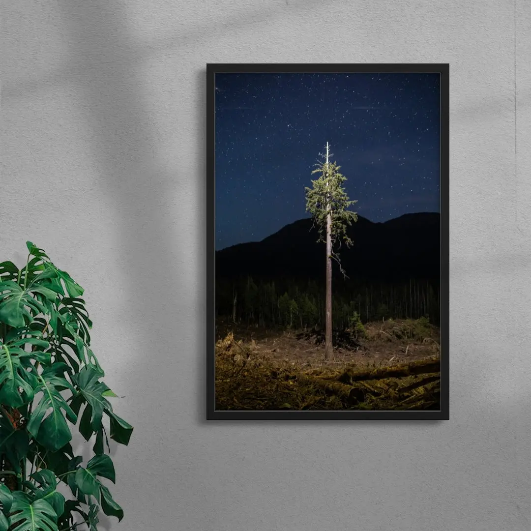 Lone Tree - Image 4