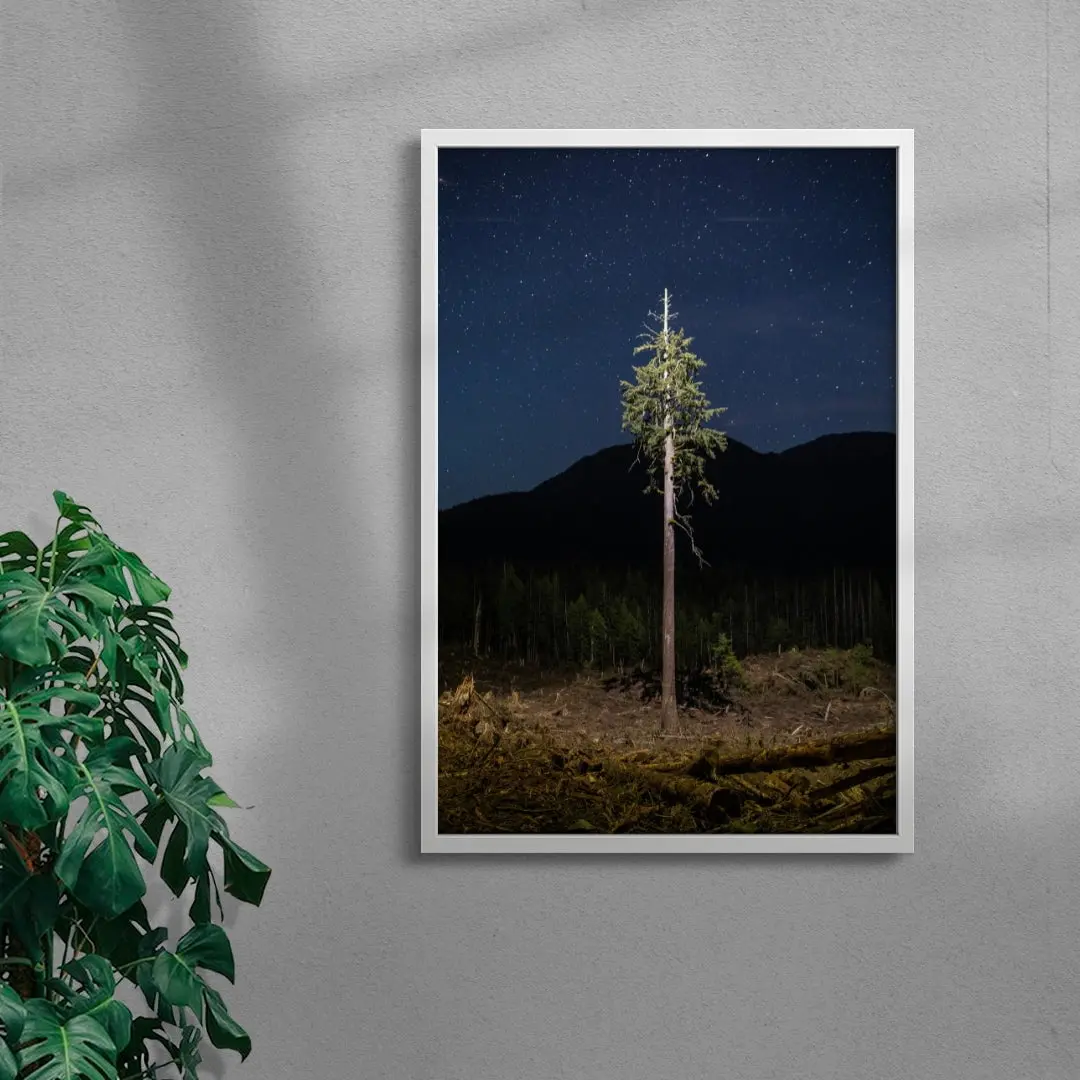 Lone Tree - Image 5