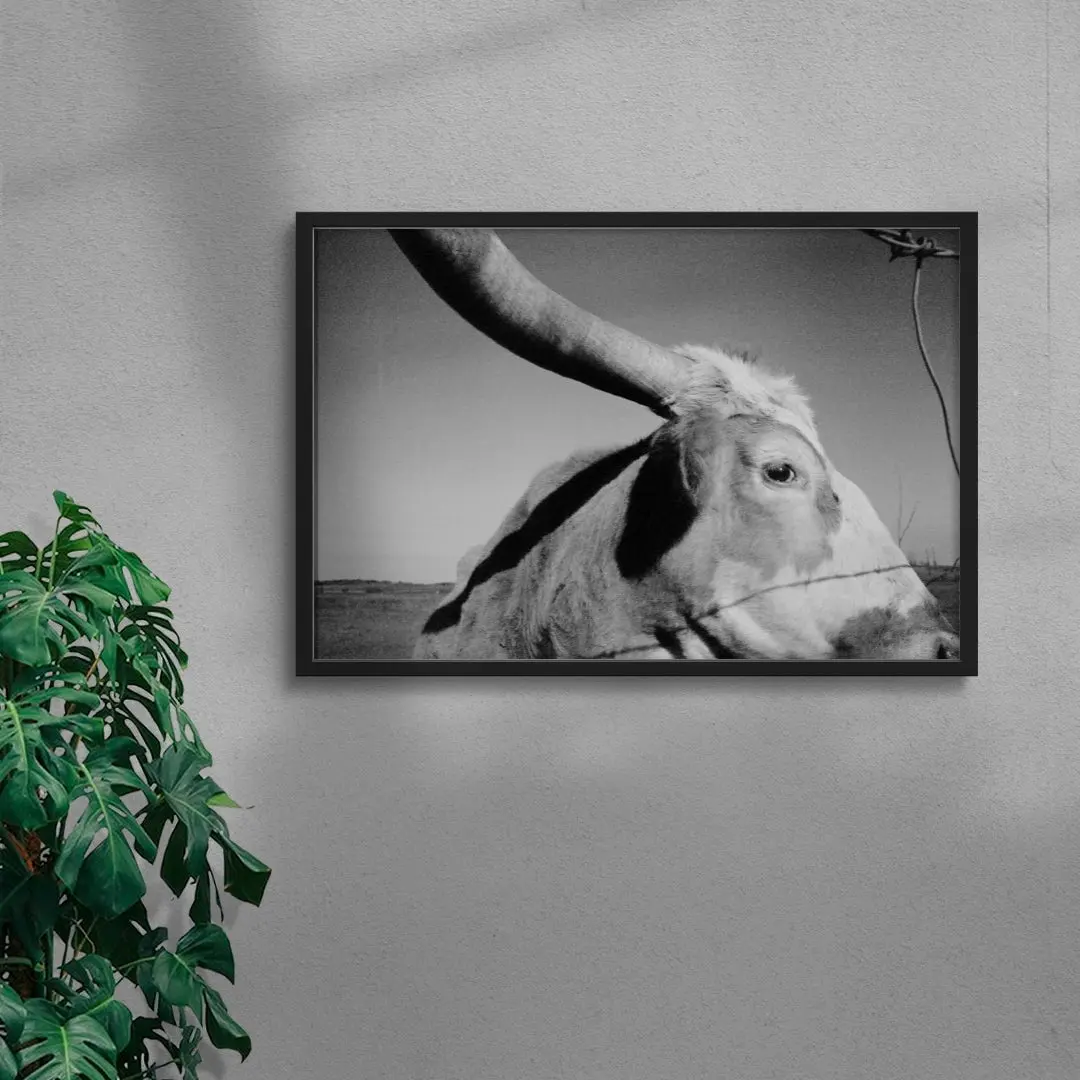 Longhorn Gaze - Image 4