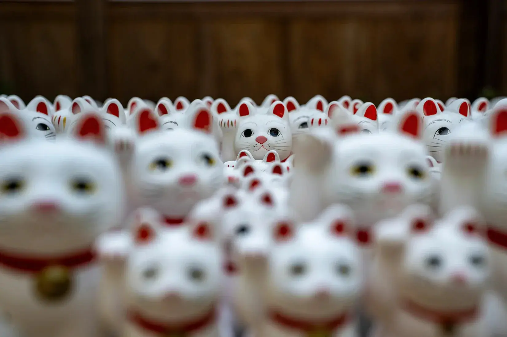 Lucky Cat Crowd - Image 2