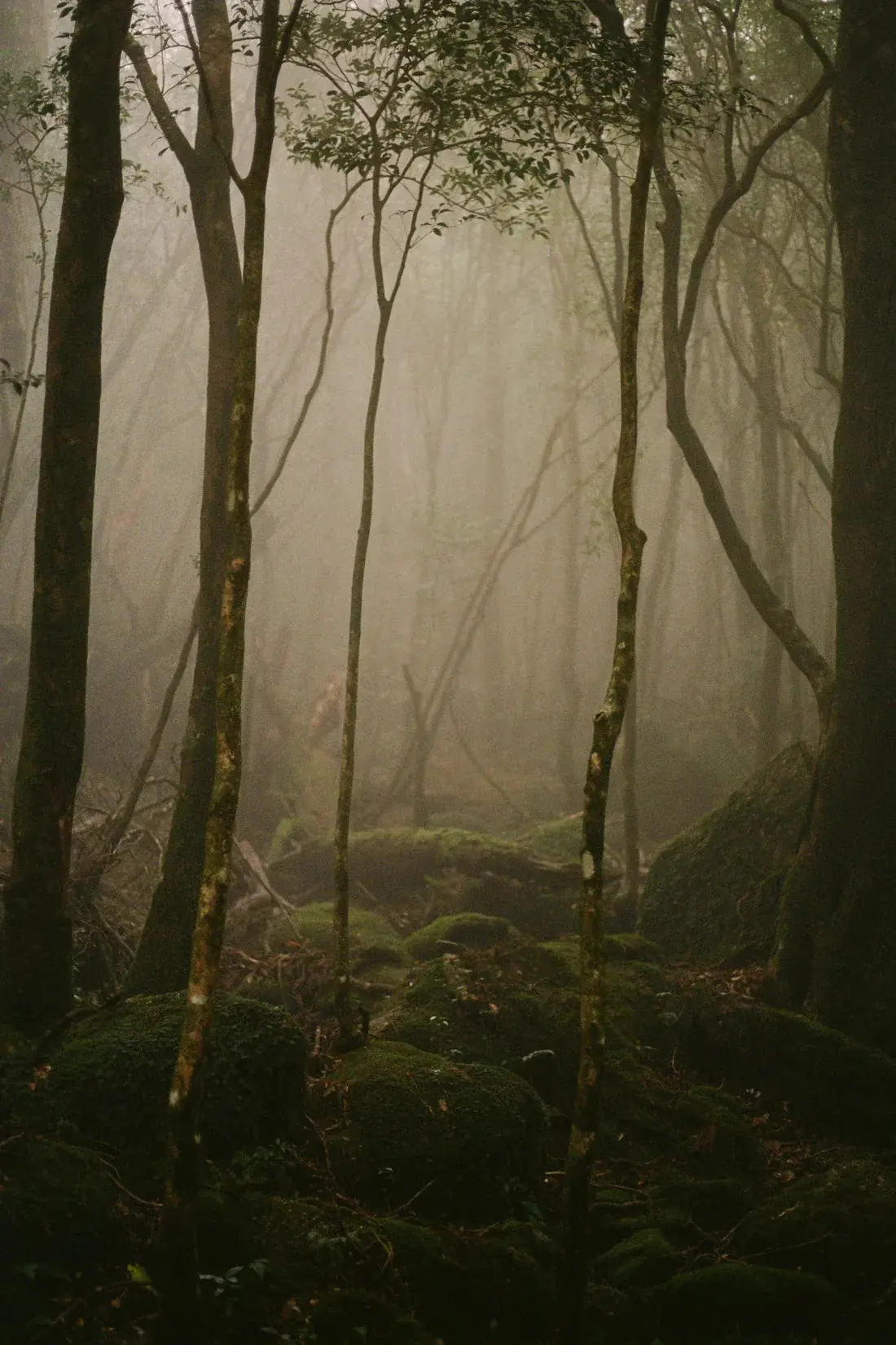 Lurking - Image 2