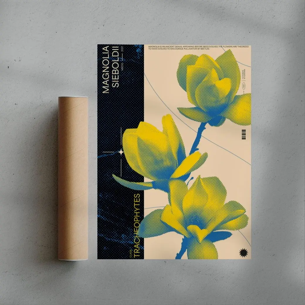 Magnolia - Image 2