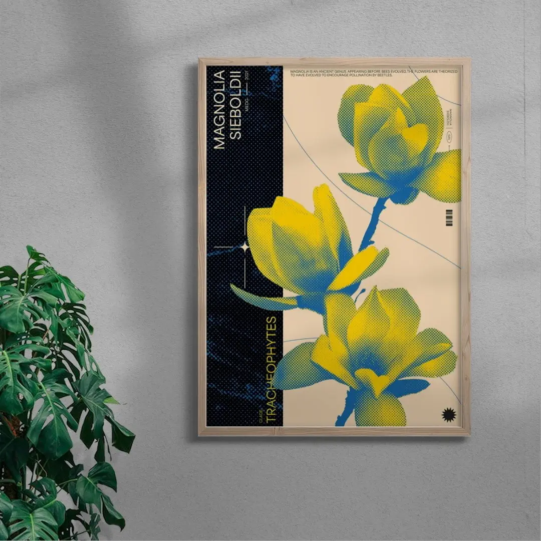 Magnolia - Image 5