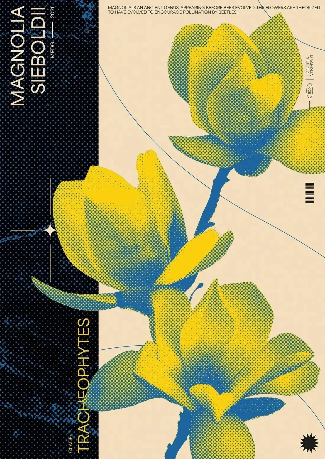 Magnolia - Image 2