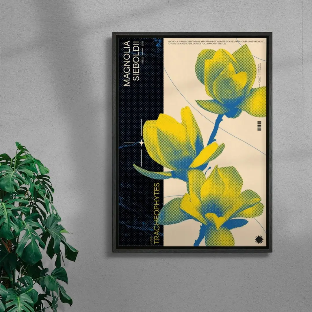 Magnolia - Image 3