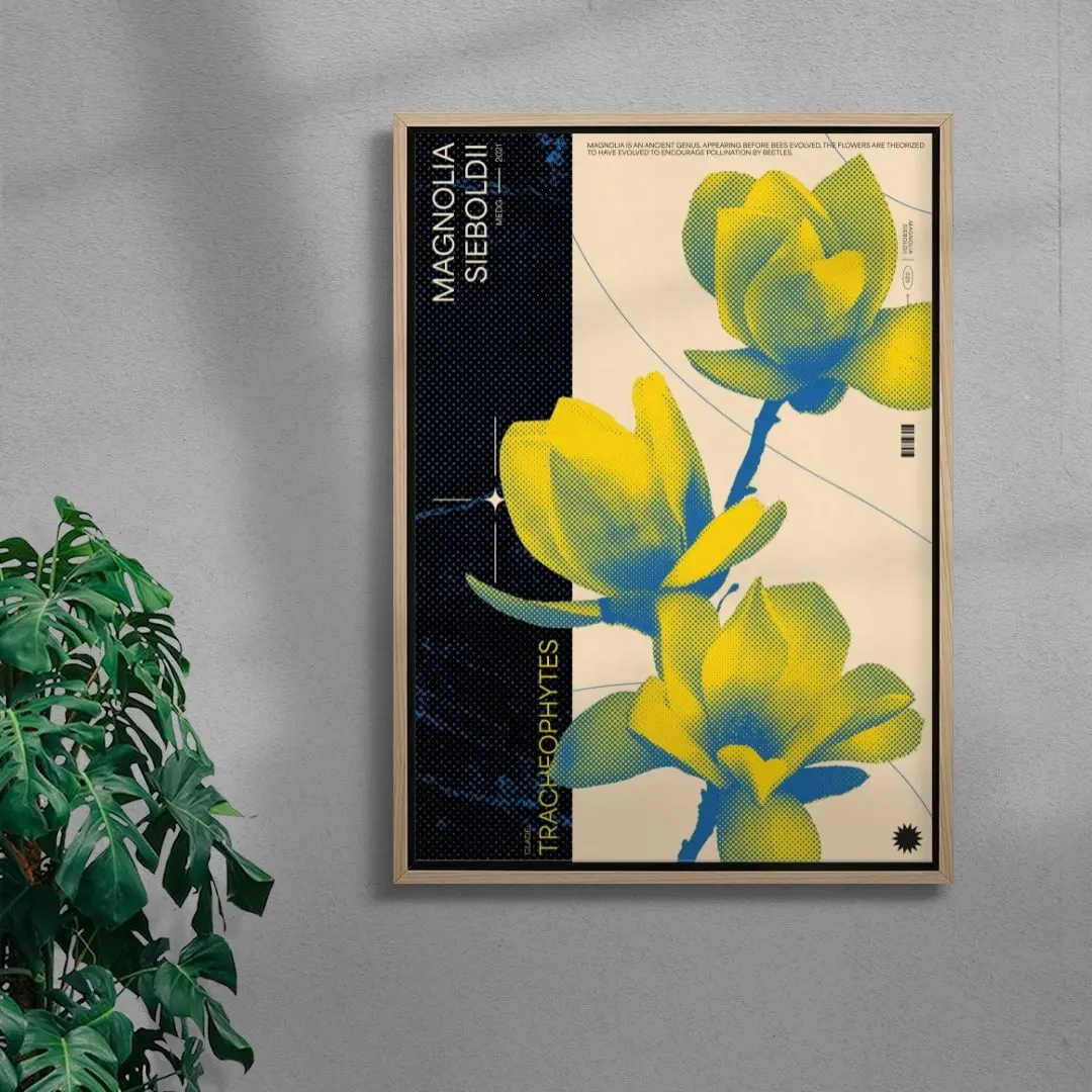 Magnolia - Image 4