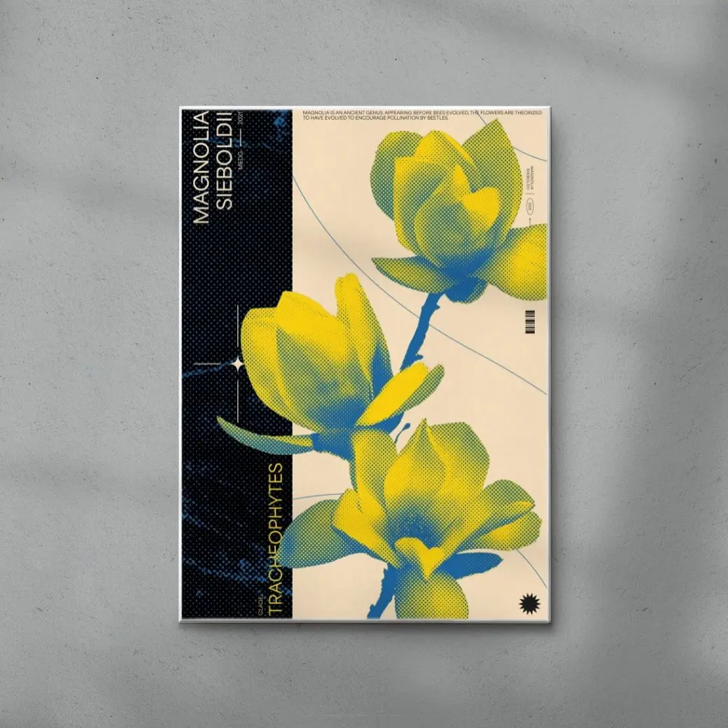 Magnolia - Image 6