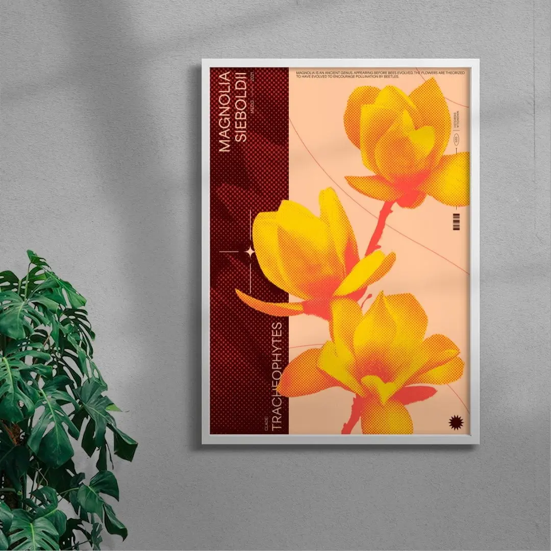 Magnolia - Image 4
