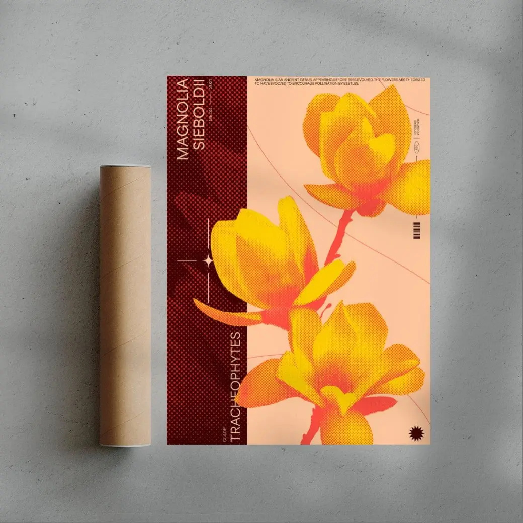 Magnolia - Image 3