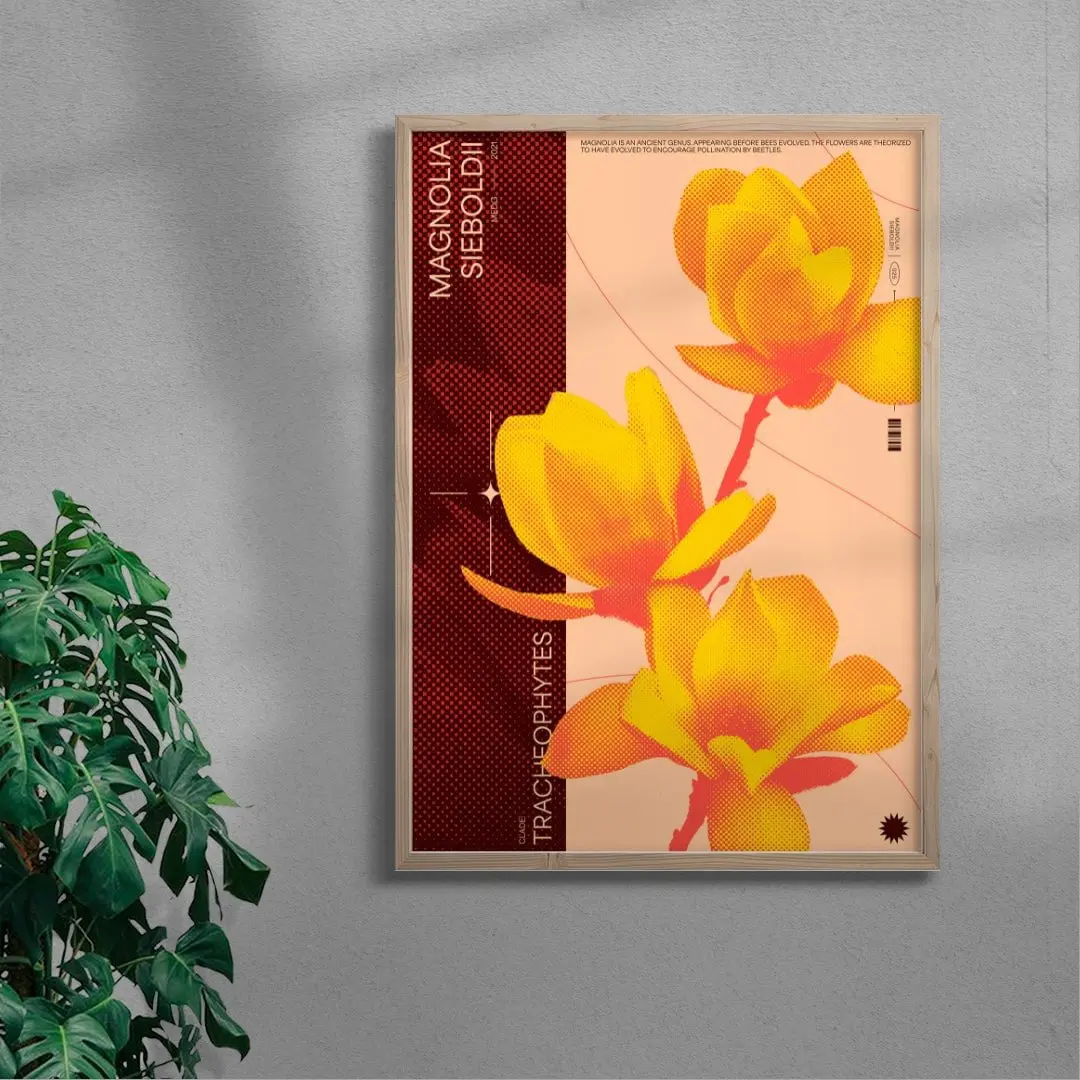 Magnolia - Image 6