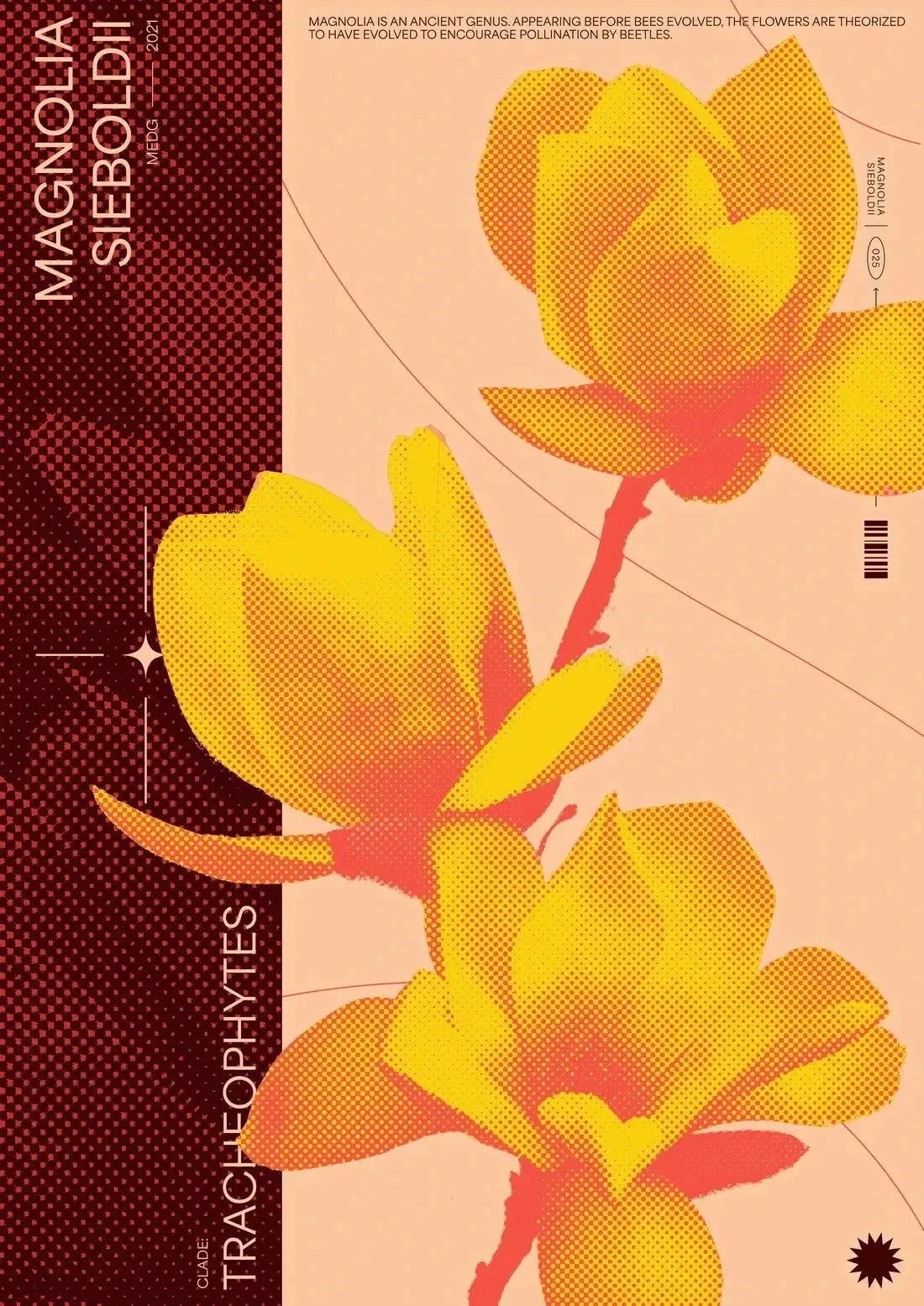 Magnolia - Image 2