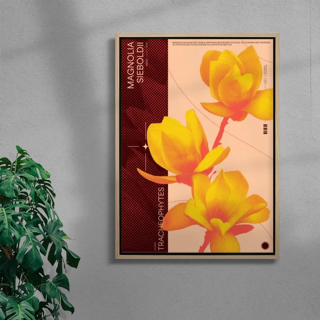 Magnolia - Image 4