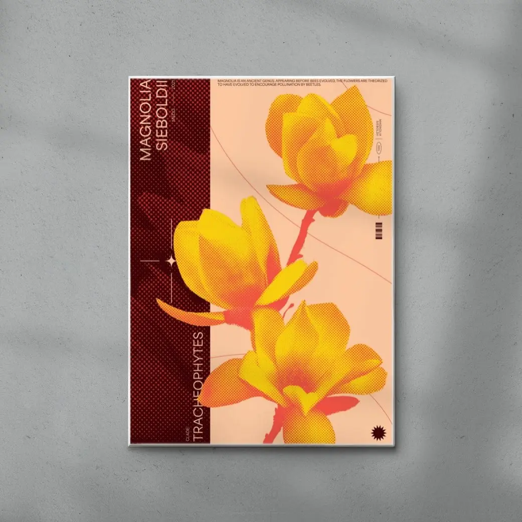 Magnolia - Image 6