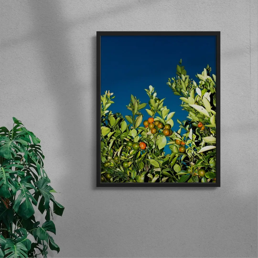 MANDARINE - Image 4