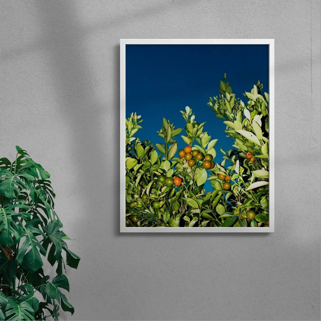 MANDARINE - Image 5