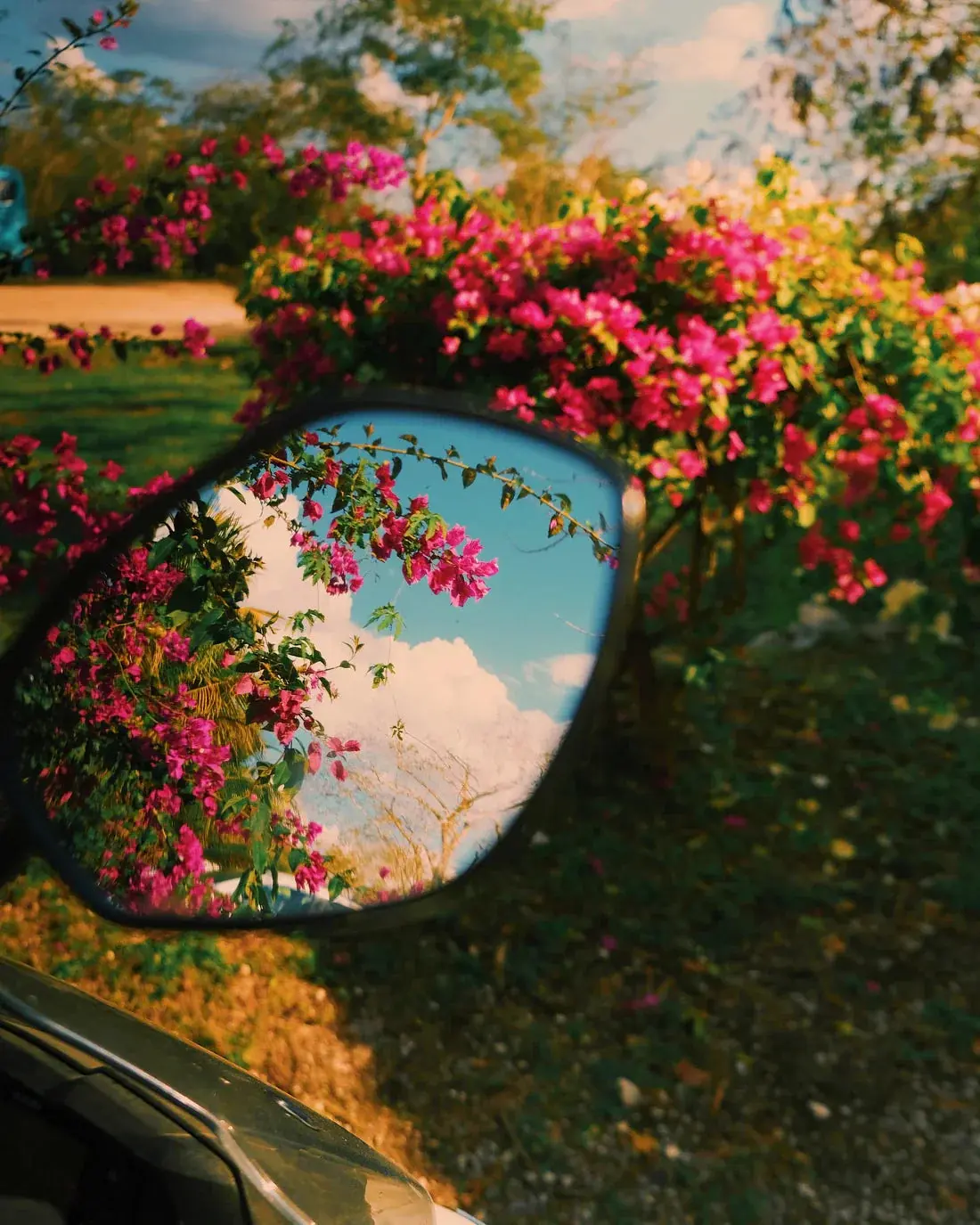 Mirror Bloom - Image 2