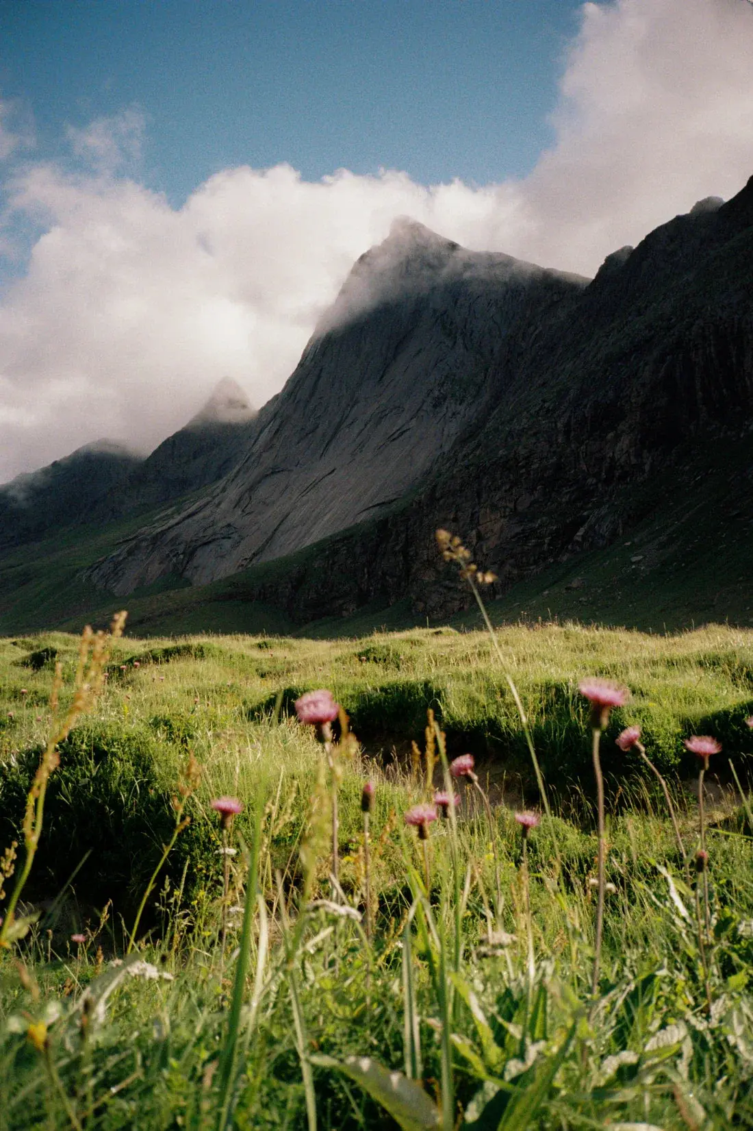 Misty Mountain - Image 2